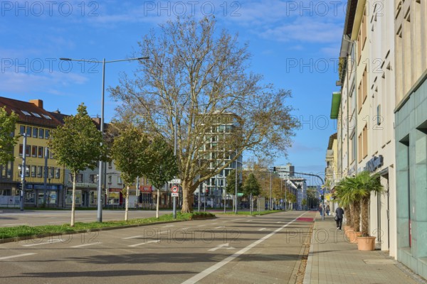 Modern street with trees, flanked by buildings, blue sky, Freiburg im Breisgau, Black Forest,