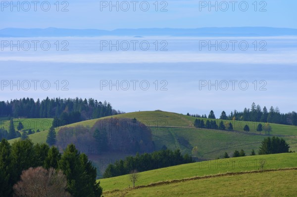 Green hills with trees under a blue sky with clouds, Schauinsland, Freiburg im Breisgau, Black