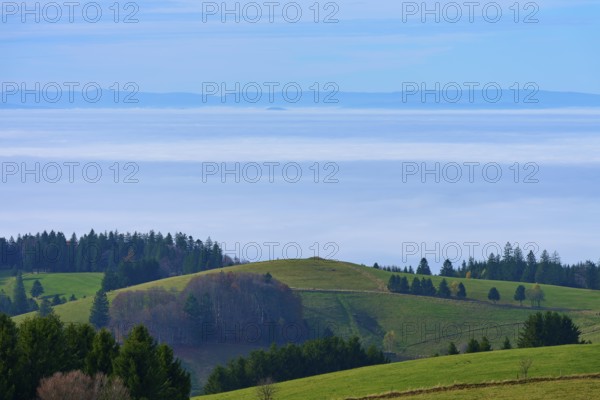 Green hills and groups of trees rise in front of a misty horizon, Schauinsland, Freiburg im