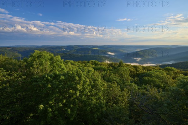 View over wooded and foggy hills under a clear sky, Katzenbuckel, Waldbrunn, Neckar-Odenwald-Kreis,