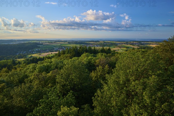 Wide landscape with forest and fields under a clear sky in daylight, Katzenbuckel, Waldbrunn,