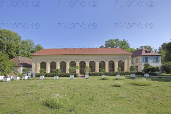 UNESCO Luisium, Orangery, Dessau-Wörlitz Garden Kingdom, Dessau, Dessau-Roßlau, Saxony-Anhalt,