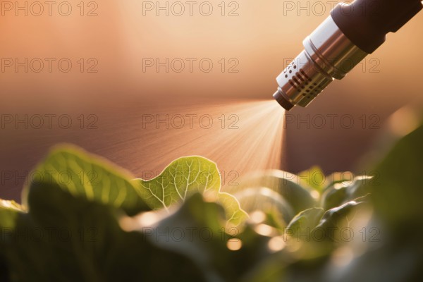 Pesticide sprayer aimed at fresh garden vegetables. A visual commentary on chemical use in