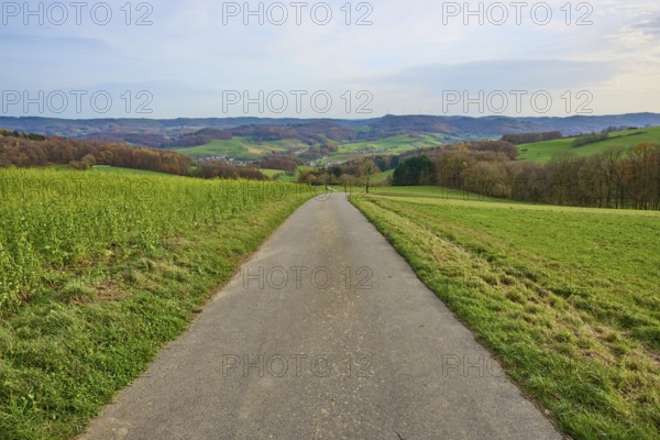 Asphalted path leads through green fields in a hilly landscape, Winterkasten, Lindenfels,