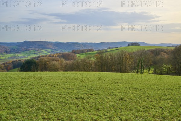 Hilly green landscape with trees and wind turbines on the horizon, Winterkasten, Lindenfels,