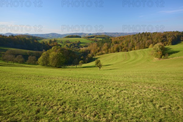 Wide hills with green meadows and autumnal trees under a clear blue sky, Vöckelsbach, Mörlenbach,