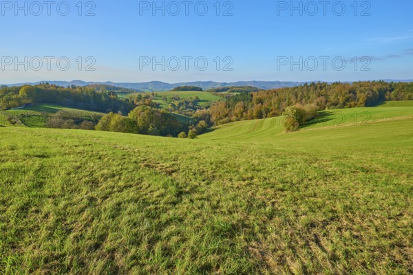 Wide green hills and meadows that create a quiet and rural atmosphere, Vöckelsbach, Mörlenbach,