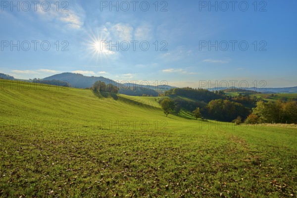 Wide green meadows under a bright sun and clear sky for a natural, peaceful atmosphere,