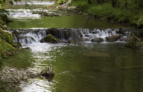 Small waterfall, Wangauer Ache flows through a forest, Mondseeland, Salzkammergut, Upper Austria,