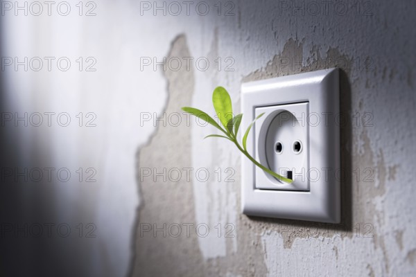 European power outlet with green leaf sprout. A visual metaphor for sustainable electricity and