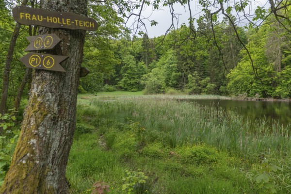 Frau Holle pond in the GEO nature park Park Frau Holle Land am Meissner, low mountain range,