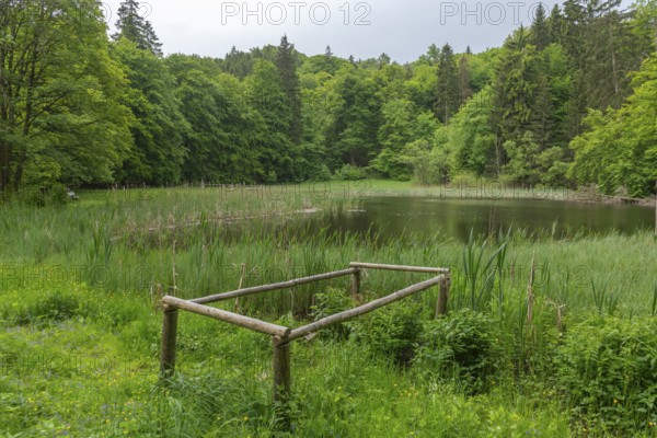 Frau Holle Pond in the GEO nature park Park Frau Holle Land am Meissner, low mountain range,
