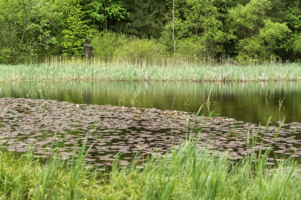Frau Holle pond in the GEO nature park Park Frau Holle Land am Meissner, low mountain range,