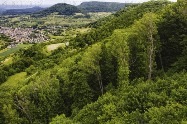 View from the top of the Reußenstein castle ruins over wooded hills and the Neidlingen valley,