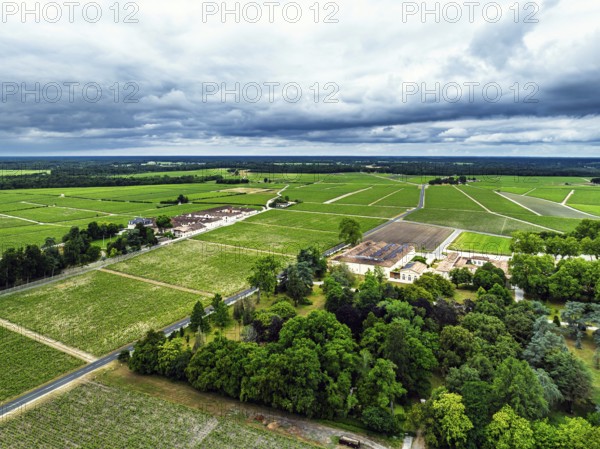 Chateau d'Armailhac Vineyard and grape fields around Pauillac and Gironde Estuary from a drone,