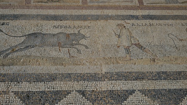 Ancient mosaic depicting a man approaching a charging bull, Archaeological Site, Western