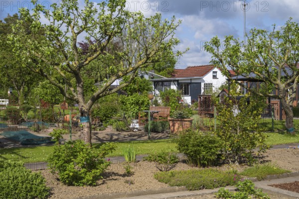 Garden house and fruit trees in allotment garden, allotment garden, garden, spring, Kamen, Ruhr