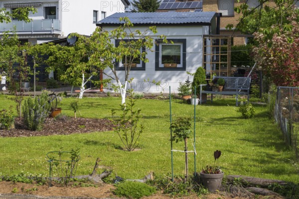 Garden house in allotment garden, allotment garden, spring, garden, Kamen, North Rhine-Westphalia,