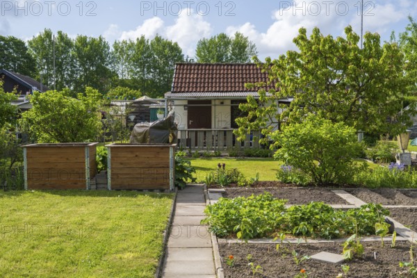 Raised beds and planting beds in front of garden shed, allotment, allotment garden, garden, Kamen,