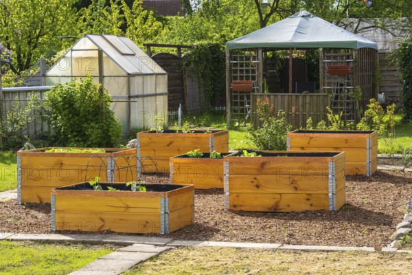 Raised beds in the garden, greenhouse, wooden boxes, allotment garden, spring, Kamen, North