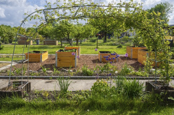 Raised beds in the allotment garden, allotment garden, spring, garden, Kamen, North