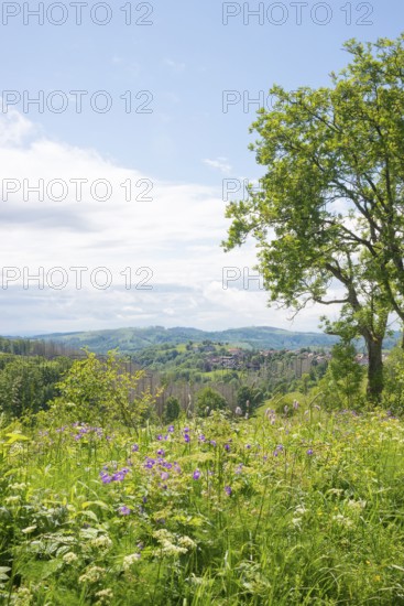 View from north-east to Sankt Andreasberg (St. Andreasberg) and the nature reserve Bergwiesen bei