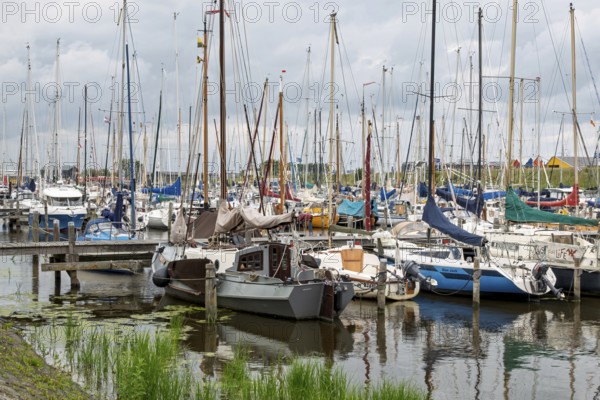 Several sailing boats moored in a quiet harbour, surrounded by water and nature, Noordergat marina,