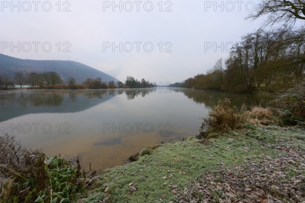 Frosty bank of a quiet river, reflections in the water, wintry landscape, Laudenbach, Main,