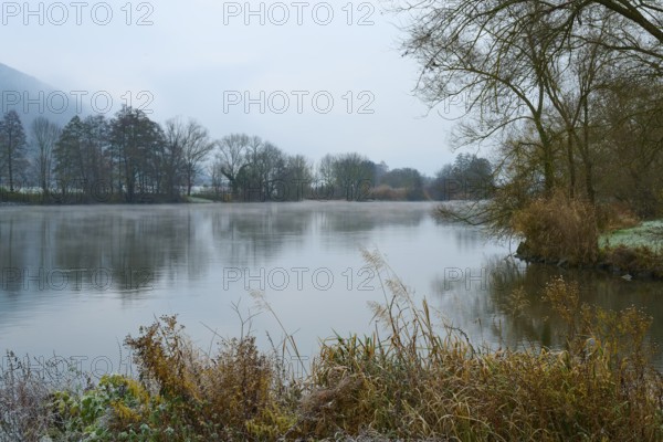 Cold morning on a misty river with grass and trees along the bank, Laudenbach, Main, Spessart,