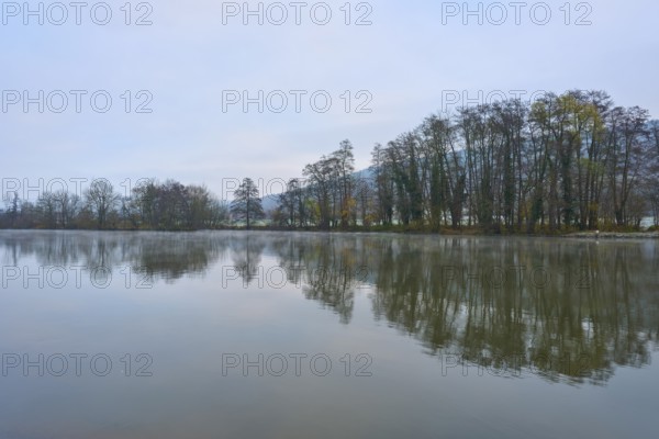Calm reflection of trees on a misty river on an autumn morning, Laudenbach, Main, Spessart,
