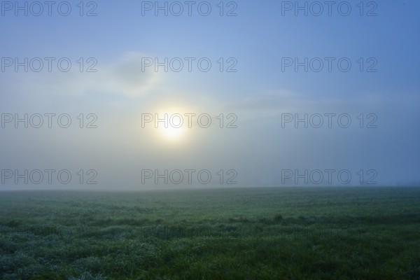 The sun shines through the fog and illuminates the green meadow, Mönchberg, Miltenberg, Spessart,