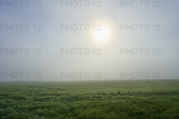Sun shimmering through dense fog over a meadow, soft light, Mönchberg, Miltenberg, Spessart,