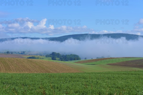 Fog drifts over hilly fields under a clear blue sky, Mönchberg, Miltenberg, Spessart, Bavaria,