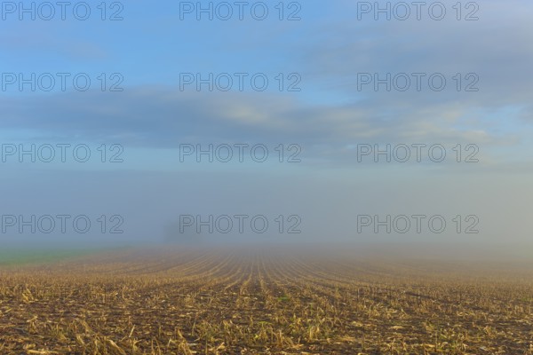 Fog-covered field with sky in autumn, quiet and spacious, Mönchberg, Miltenberg, Spessart, Bavaria,