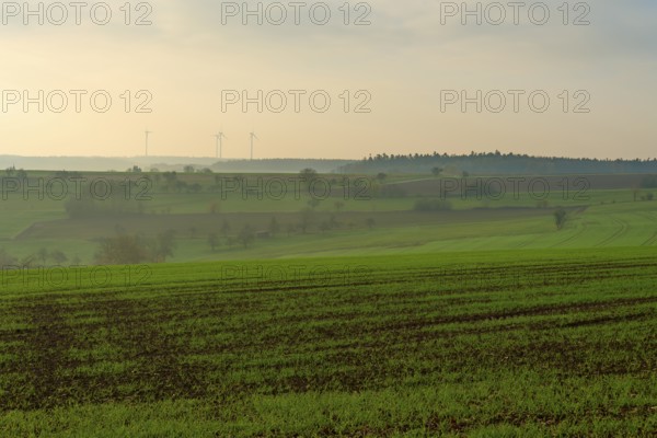 Wide green fields under a cloudy sky with wind turbines in the distance, Hornbach, Walldürn,