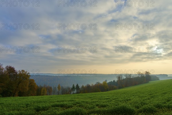 A wide landscape with green meadow and trees under a cloudy sky in the morning light, Hornbach,