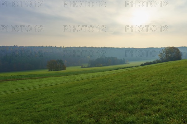 Hilly landscape with green fields and forest in the background under a cloudy sky, Hornbach,