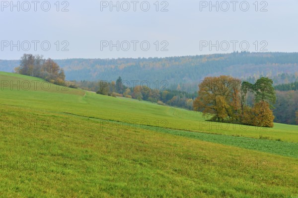 Wide landscape with green fields and trees under a cloudy sky, Hornbach, Walldürn, Odenwald,