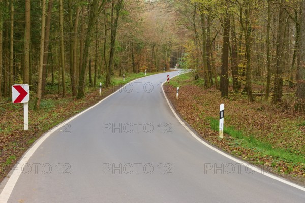 Asphalt road through autumnal forest with several bends, Buchen, Odenwald, Neckar-Odenwald