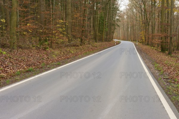 Asphalted road through autumnal forest, lined with trees, quiet atmosphere, Buchen, Odenwald,