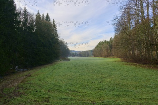 A wide green meadow stretches out in front of a quiet forest under a clear blue sky, Odenwald,