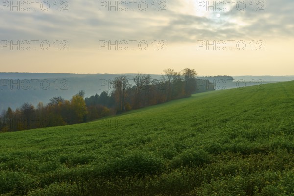 Green hills and trees in a misty morning under a cloudy sky, Hornbach, Walldürn, Odenwald,