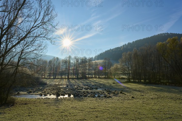 The sun shines through the trees on a wooded hill in a wide meadow, Kirchzell, Amorbach, Odenwald,