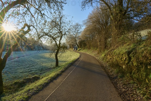 Path along frost-covered trees in the shade of the rising sun, Kirchzell, Amorbach, Odenwald,