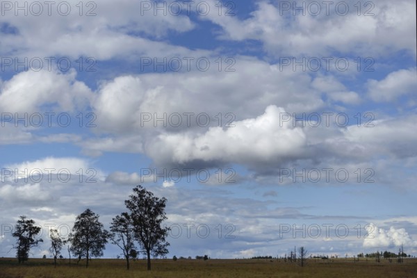 In the High Fens... impressive, wide, strictly protected moorland on a plateau in the Eifel in the