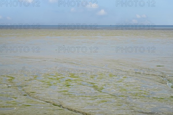 North Sea, Wadden Sea at low tide, Province of Groningen, Netherlands
