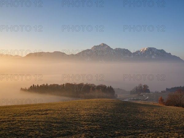 Hochstaufen and Zwiesel behind a meadow above high fog in morning light, Högl, Anger,