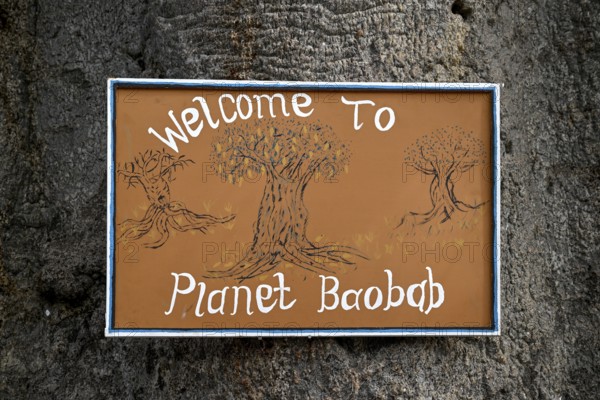 Planet Baobab sign, lodge near the village of Gweta, Makgadikgadi Pans National Park, Central
