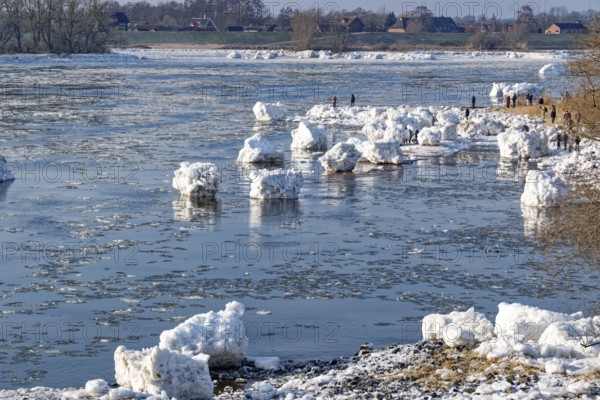 Many visitors look at the icebergs on the water of the Elbe and on the banks of the Elbe Island