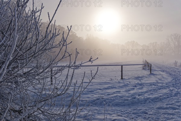 Traces in the snow in the diffuse light of the sun on a hazy winter day in Hamburg's Vier- und